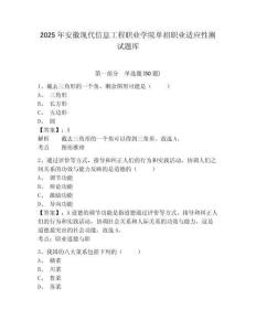 2025年安徽現(xiàn)代信息工程職業(yè)學(xué)院單招職業(yè)適應(yīng)性測試題庫附答案詳解【奪分金卷】