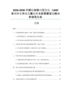 2026-2030中國陸地移動無線電（LMR）系統行業市場發展趨勢與前景展望戰略分析研究報告