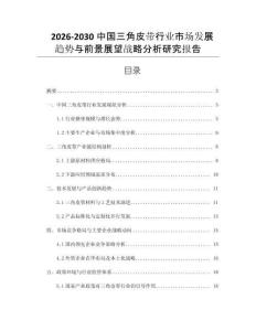 2026-2030中國三角皮帶行業(yè)市場發(fā)展趨勢與前景展望戰(zhàn)略分析研究報告