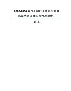 2026-2030中國金閃行業(yè)市場運營模式及未來發(fā)展動向預(yù)測報告
