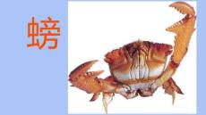 《螃蟹》美術教育PPT繪畫課件創意教程教案