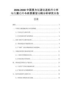 2026-2030中國重力輥道輸送機行業市場發展趨勢與前景展望戰略分析研究報告