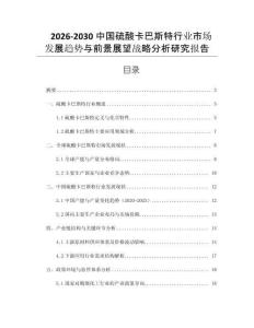 2026-2030中國硫酸卡巴斯特行業市場發展趨勢與前景展望戰略分析研究報告