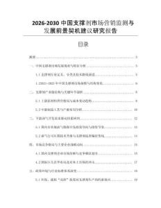 2026-2030中國支撐劑市場營銷監(jiān)測與發(fā)展前景契機(jī)建議研究報(bào)告