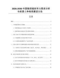 2026-2030中國數控插床市場需求分析與前景競爭格局展望報告