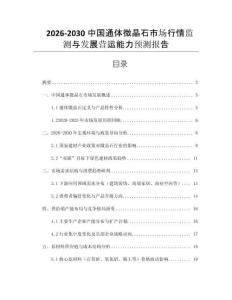 2026-2030中國通體微晶石市場行情監測與發展營運能力預測報告