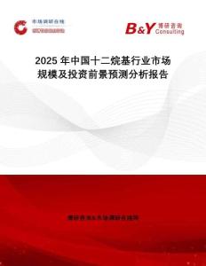 2025年中國十二烷基行業市場規模及投資前景預測分析報告