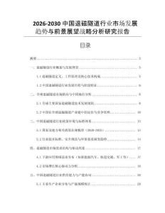 2026-2030中國退磁隧道行業市場發展趨勢與前景展望戰略分析研究報告
