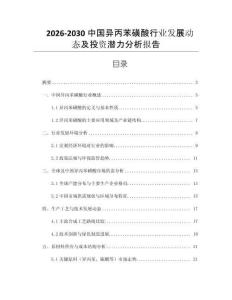 2026-2030中國異丙苯磺酸行業發展動態及投資潛力分析報告
