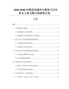 2026-2030中國泡花堿市場需求預(yù)測分析與競爭戰(zhàn)略規(guī)劃研究報告