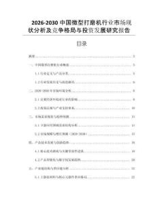 2026-2030中国微型打磨机行业市场现状分析及竞争格局与投资发展研究报告