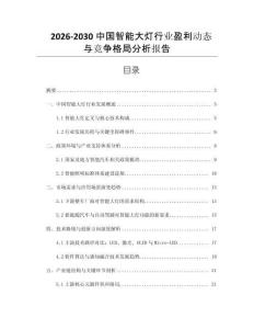 2026-2030中國智能大燈行業(yè)盈利動態(tài)與競爭格局分析報告