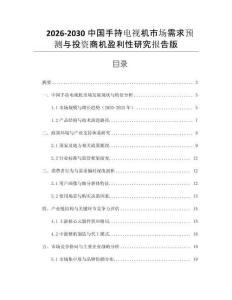 2026-2030中國手持電視機市場需求預測與投資商機盈利性研究報告版