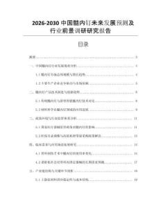 2026-2030中國髓內釘未來發展預測及行業前景調研研究報告