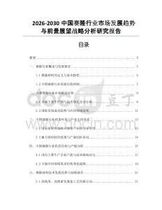 2026-2030中國賽隆行業(yè)市場發(fā)展趨勢與前景展望戰(zhàn)略分析研究報告