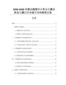 2026-2030中國攝像管行業市場發展分析及發展趨勢與投資方向研究報告