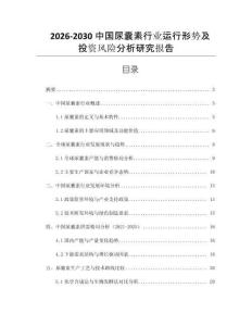 2026-2030中國尿囊素行業(yè)運(yùn)行形勢(shì)及投資風(fēng)險(xiǎn)分析研究報(bào)告