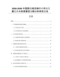 2026-2030中國裂縫填充物行業市場發展趨勢與前景展望戰略分析研究報告