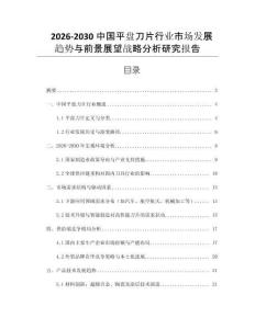 2026-2030中國平盤刀片行業市場發展趨勢與前景展望戰略分析研究報告