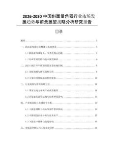 2026-2030中國(guó)斜面量角器行業(yè)市場(chǎng)發(fā)展趨勢(shì)與前景展望戰(zhàn)略分析研究報(bào)告