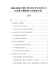 2026-2030中國農(nóng)用UTV市場現(xiàn)狀調(diào)查與未來發(fā)展前景預(yù)測研究報(bào)告
