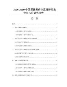 2026-2030中國尿囊素行業(yè)運(yùn)行形勢(shì)及投資風(fēng)險(xiǎn)研究報(bào)告