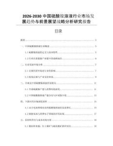 2026-2030中國硫酸鎳溶液行業(yè)市場發(fā)展趨勢與前景展望戰(zhàn)略分析研究報告