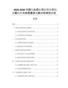 2026-2030中國閃光信標浮標行業市場發展趨勢與前景展望戰略分析研究報告