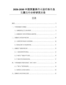 2026-2030中國尿囊素行業(yè)運(yùn)行形勢(shì)及發(fā)展趨勢(shì)分析研究報(bào)告