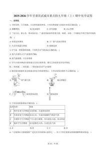 2025-2026学年甘肃省武威市重点校九年级（上）期中化学试卷（含答案）