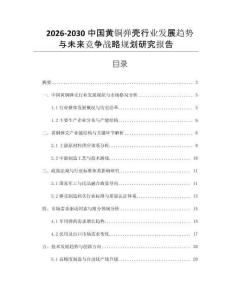 2026-2030中國黃銅彈殼行業發展趨勢與未來競爭戰略規劃研究報告