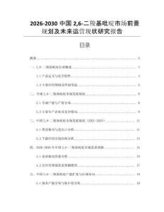 2026-2030中國26-二羧基吡啶市場前景規(guī)劃及未來運(yùn)營現(xiàn)狀研究報告