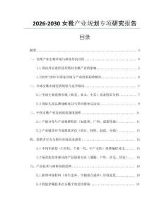 2026-2030女靴產業規劃專項研究報告
