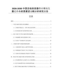2026-2030中國吉他拾音器行業市場發展趨勢與前景展望戰略分析研究報告