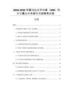 2026-2030中國調(diào)心滾子軸承（SRB）行業(yè)發(fā)展態(tài)勢與投資規(guī)劃研究報告