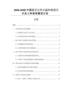 2026-2030中國灰漿泵行業(yè)運行狀況預測及競爭格局展望報告