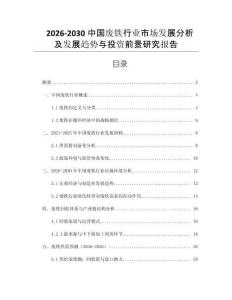2026-2030中國(guó)廢鐵行業(yè)市場(chǎng)發(fā)展分析及發(fā)展趨勢(shì)與投資前景研究報(bào)告