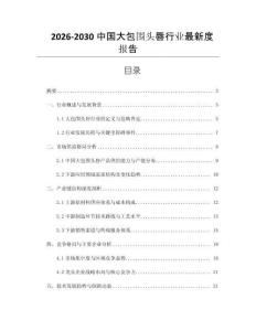 2026-2030中國大包圍頭唇行業(yè)最新度報(bào)告