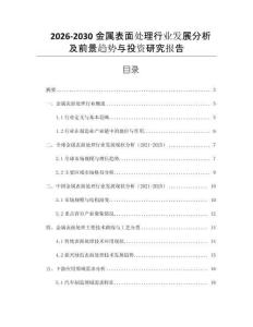 2026-2030金屬表面處理行業(yè)發(fā)展分析及前景趨勢與投資研究報告