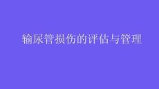 输尿管损伤的评估与管理2025