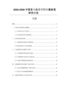 2026-2030中國多頭松緊帶行業(yè)最新度研究報告