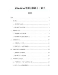 2026-2030牙刷項目商業計劃書