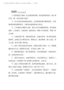 2025年公文金句