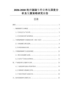 2026-2030炮彈碰碰車(chē)行業(yè)市場(chǎng)深度分析及發(fā)展策略研究報(bào)告