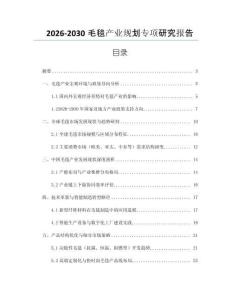 2026-2030毛毯產(chǎn)業(yè)規(guī)劃專項(xiàng)研究報(bào)告