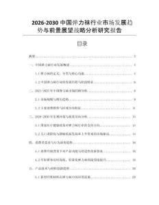 2026-2030中國彈力襪行業市場發展趨勢與前景展望戰略分析研究報告
