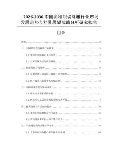 2026-2030中國竇組織切除器行業市場發展趨勢與前景展望戰略分析研究報告
