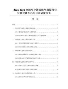 2026-2030全球與中國天然氣勘探行業(yè)發(fā)展現(xiàn)狀及趨勢預(yù)測研究報告