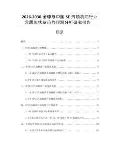 2026-2030全球與中國SE汽油機(jī)油行業(yè)發(fā)展現(xiàn)狀及趨勢預(yù)測分析研究報告