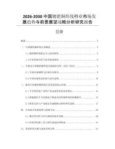 2026-2030中國鍍鈀銅焊線行業(yè)市場發(fā)展趨勢與前景展望戰(zhàn)略分析研究報(bào)告